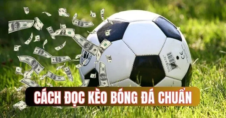 Chia sẻ Cách đọc kèo bóng và cá cược tại nhà cái