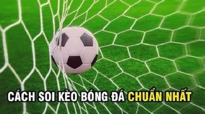 Cách Soi kèo bóng đá hay được cao thủ chia sẻ